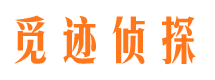 七星市调查公司